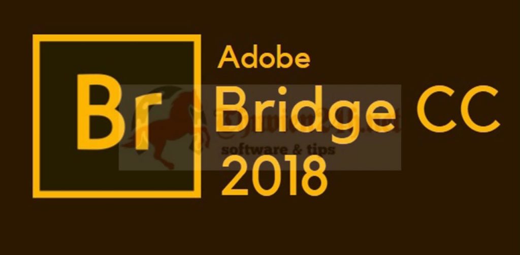 Download Adobe Bridge 2018 Full Crack Tải Free Ổn Định 100%