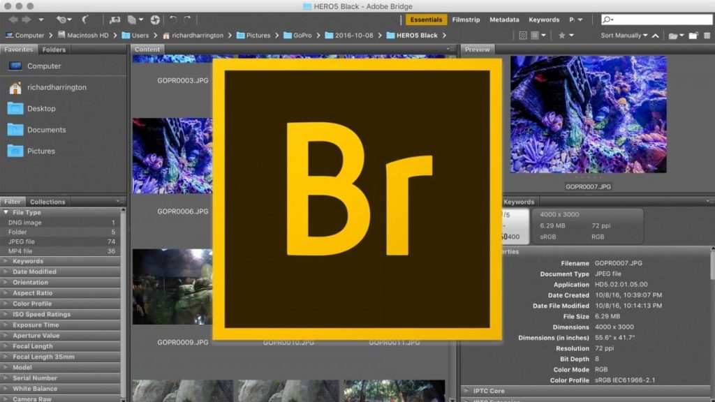 Download Adobe Bridge 2020 Full Crack Tải Free Ổn Định 100%